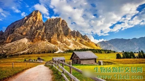 英国：2016年木屑颗粒进口预计创新高