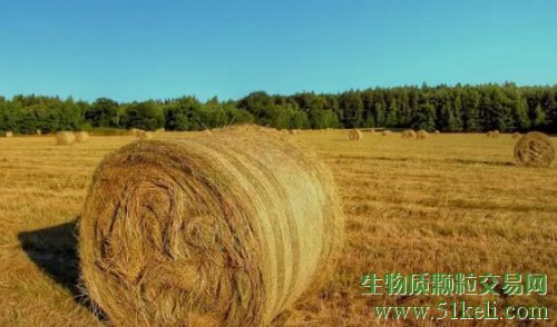 火点数降八成 吉林省为4000万吨秸秆找到出路