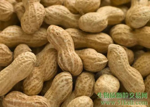 吉林舒兰市总投资5056万元生物质燃料项目投产