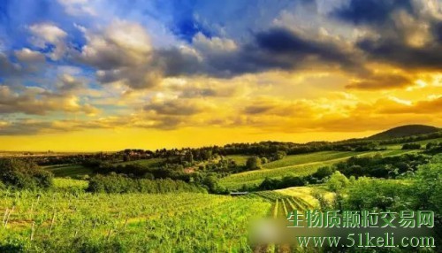 为什么木屑颗粒是绿色环保的？