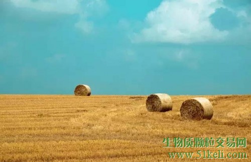 黑龙江大庆市秸秆综合利用率达七成