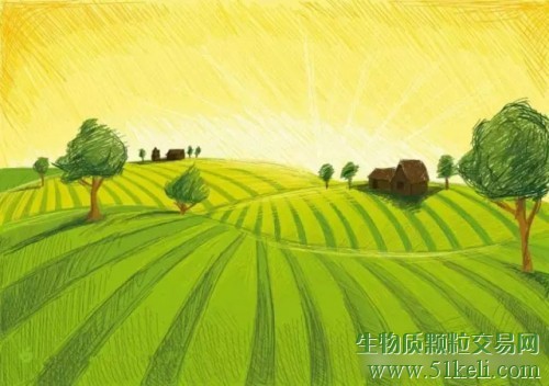 过去五年里木屑颗粒贸易额翻了一番