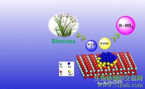 大连化物所生物质催化转化研究取得新进展