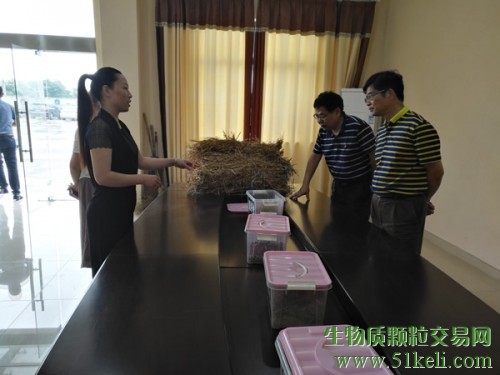 浙江农业生态能源办领导调研宁波市秸秆综合利用工作