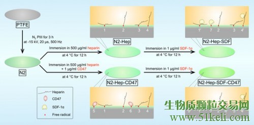 深圳先进院在生物医用高分子材料表面改性领域获进展