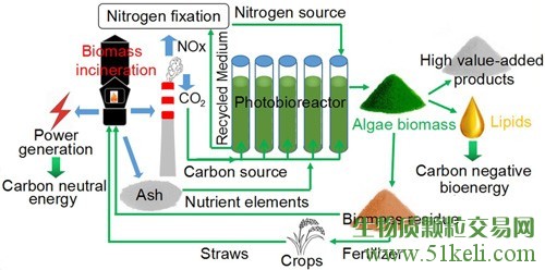水生所首次提出生物质发电厂废弃物的综合处理循环经济技术策略