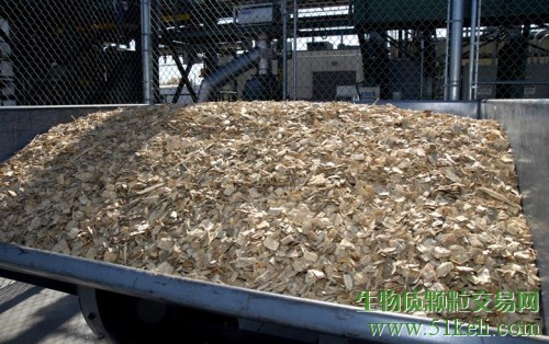 美国能源部提供8000万美元资助36个生物能源R&D项目