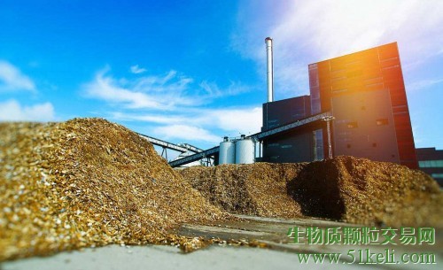 生物质利用：实现最大价值的选择