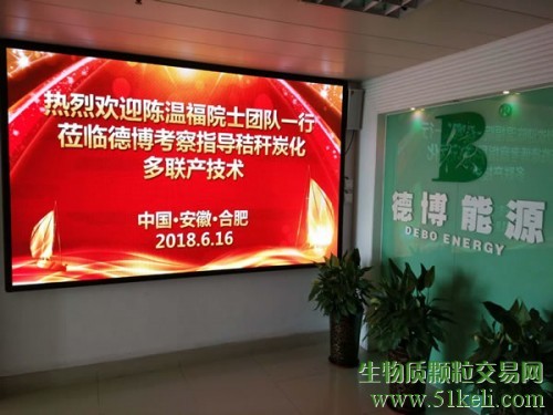 陈温福院士团队考察德博秸秆炭化多联产技术