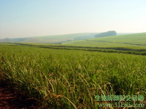 2018年1-8月巴西的生物质发电比去年增长了11%