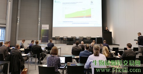 最新报告强调了生物质能源对于欧洲REDII的重要性