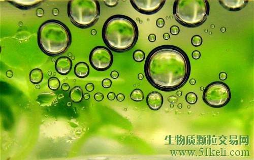 科莱恩、埃克森美孚和REG公司合作推进生物燃料研究