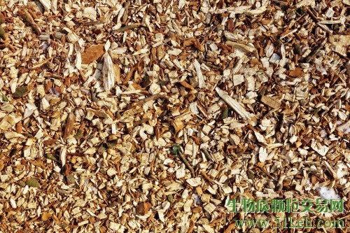 阿根廷40MW生物质发电厂将在6个月内投入使用