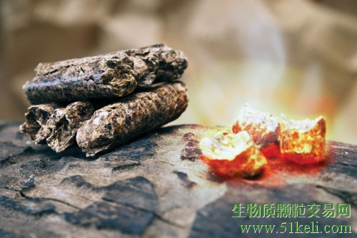可持续生物质能：木颗粒新市场的前景展望