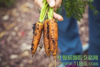 创新的沼气&太阳能系统可以从植物和动物废弃物中产生电力