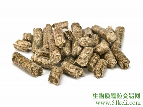 2020年荷兰生物质燃料消费量将达到230万吨
