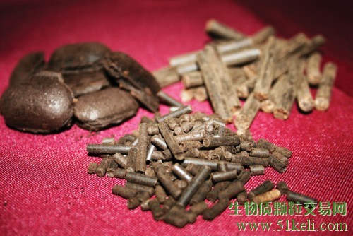 生物质转化：将先进的碳材料推向市场