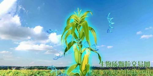 龙力生物：乙醇汽油全面推广在即，二代燃料乙醇是未来发展趋势