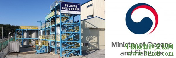 韩国建造了首个利用海洋微生物的氢工厂