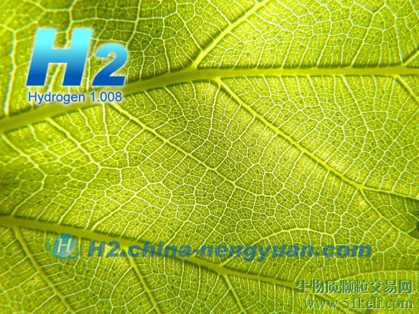 生物质制氢技术受到美国能源部支持