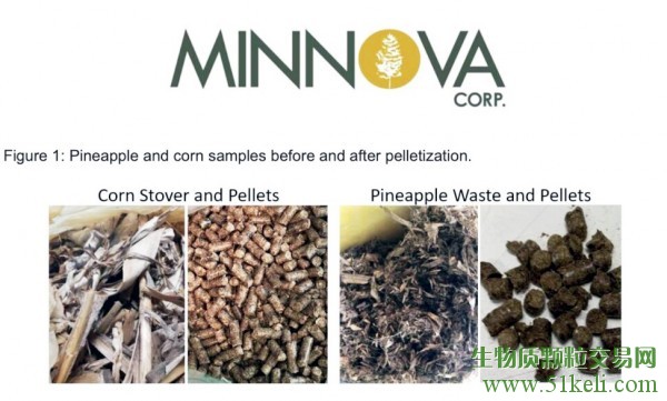Minnova宣布积极的生物质气化测试结果