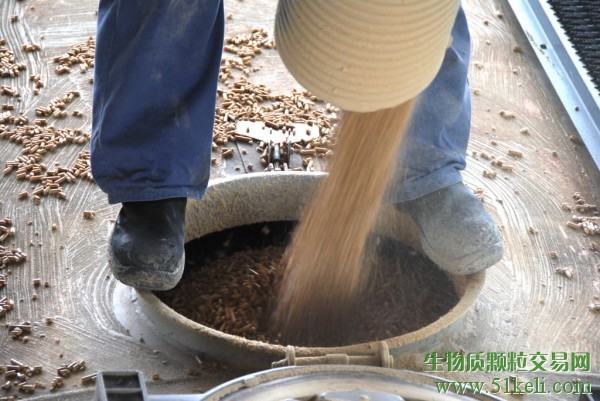 Drax去年将木屑颗粒产量提高至390万吨