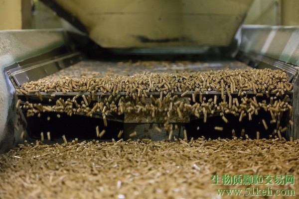 深入：木屑颗粒对森林发挥着怎样重要的作用
