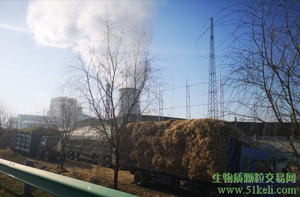 中国生物质发电产能已领先全球，并占未来产能的4成