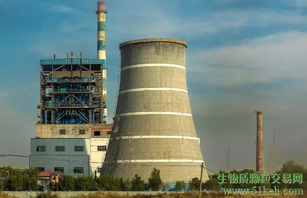 世界生物质能协会发布《2023年全球生物能源统计报告》