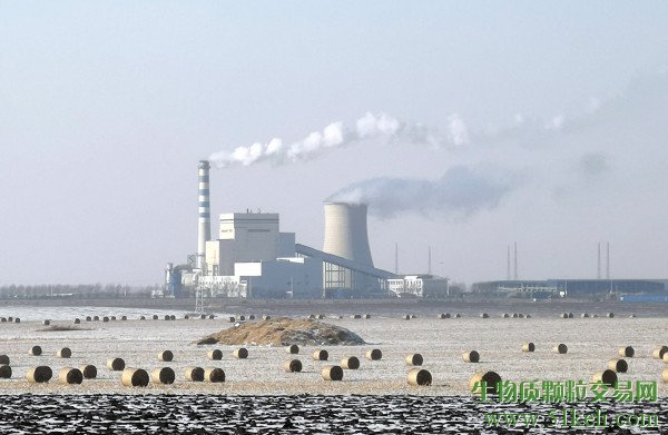 2023生物质发电：欧洲产能增长强劲，中国市场低迷