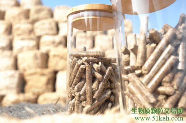 深度评论：森林是世界上最大的太阳能电池 颗粒燃料对脱碳目标至关重要