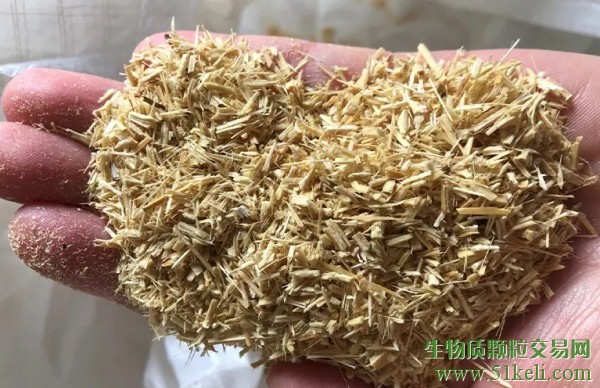 XanoGrass超级能源草得到先进生物质热分解技术加持