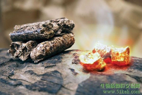 20年不间断增长被打破！2023年全球木屑颗粒生产和消费停滞不前