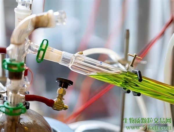 Firefly获得重大注资以加速生物固体制SAF技术创新