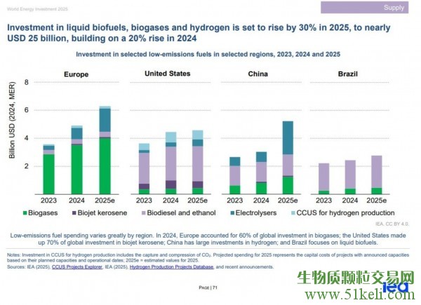 国际能源署预测2025年生物能源投资将增长13%