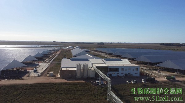 无需绿色氢和复杂气化！新技术强力推动乌拉圭SAF项目