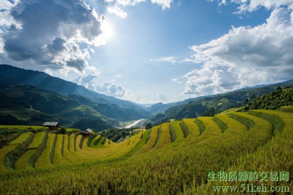盘点：亚洲各国如何推进生物燃料政策法规