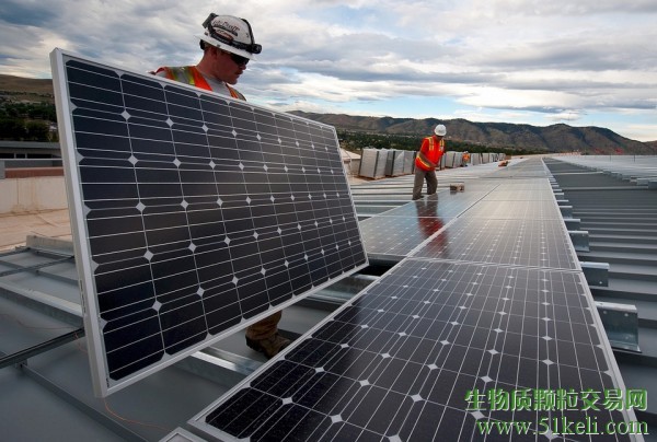 IRENA：全球可再生能源就业增长放缓，光伏第一，生物燃料第二