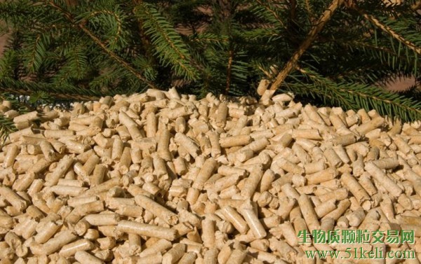 2025年美国木屑颗粒出口量突破1009万吨