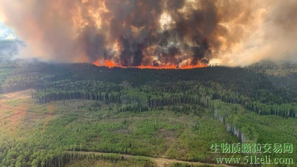 加拿大生物质行业现状，第1部分：野火缓解与机遇