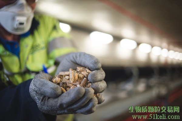 1035万吨！英国木颗粒消费量2026年预计将增长4%