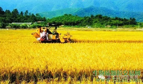 中共中央国务院 关于落实发展新理念加快农业现代化 实现全面小康目标的若干意见
