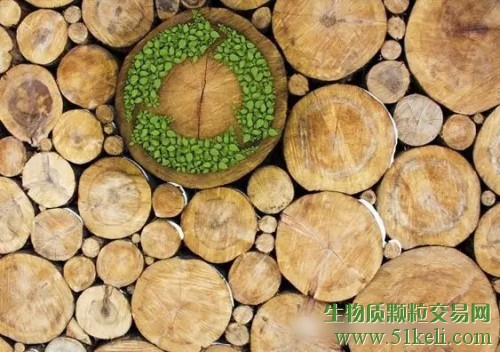 全球木质颗粒行业可以向欧洲借鉴什么？