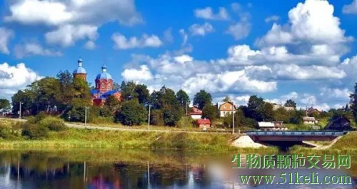 RusForest宣布启动俄罗斯颗粒厂