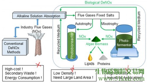 水生所在能源微藻用于工业烟气生物脱硝研究中取得系列进展