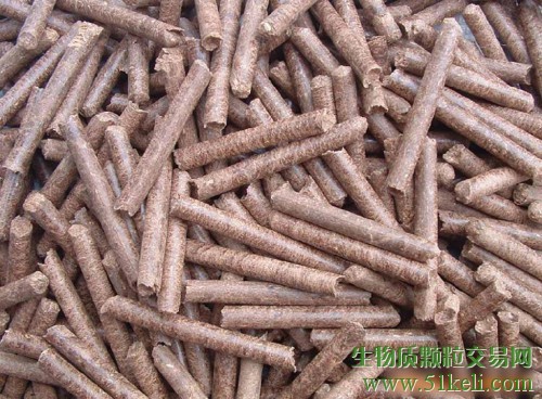 发展生物质能源必须未雨绸缪