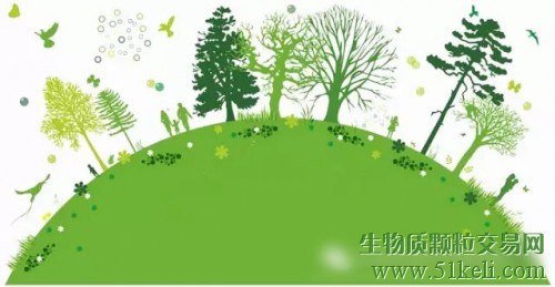 新研究发现：政府支持助力全球生物质增长