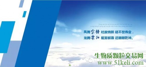 安徽新闻联播报道金梧股份秸秆综合利用项目
