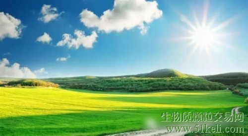 不同生物质木质燃料的优势比较：木片与木屑颗粒