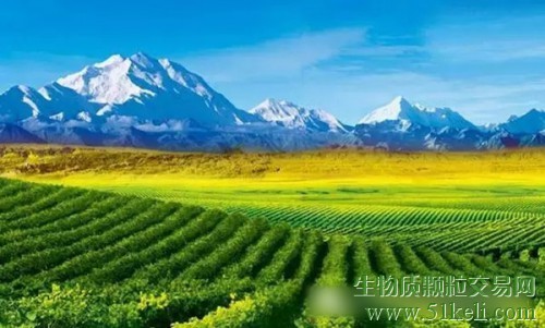 生物质颗粒历史进程